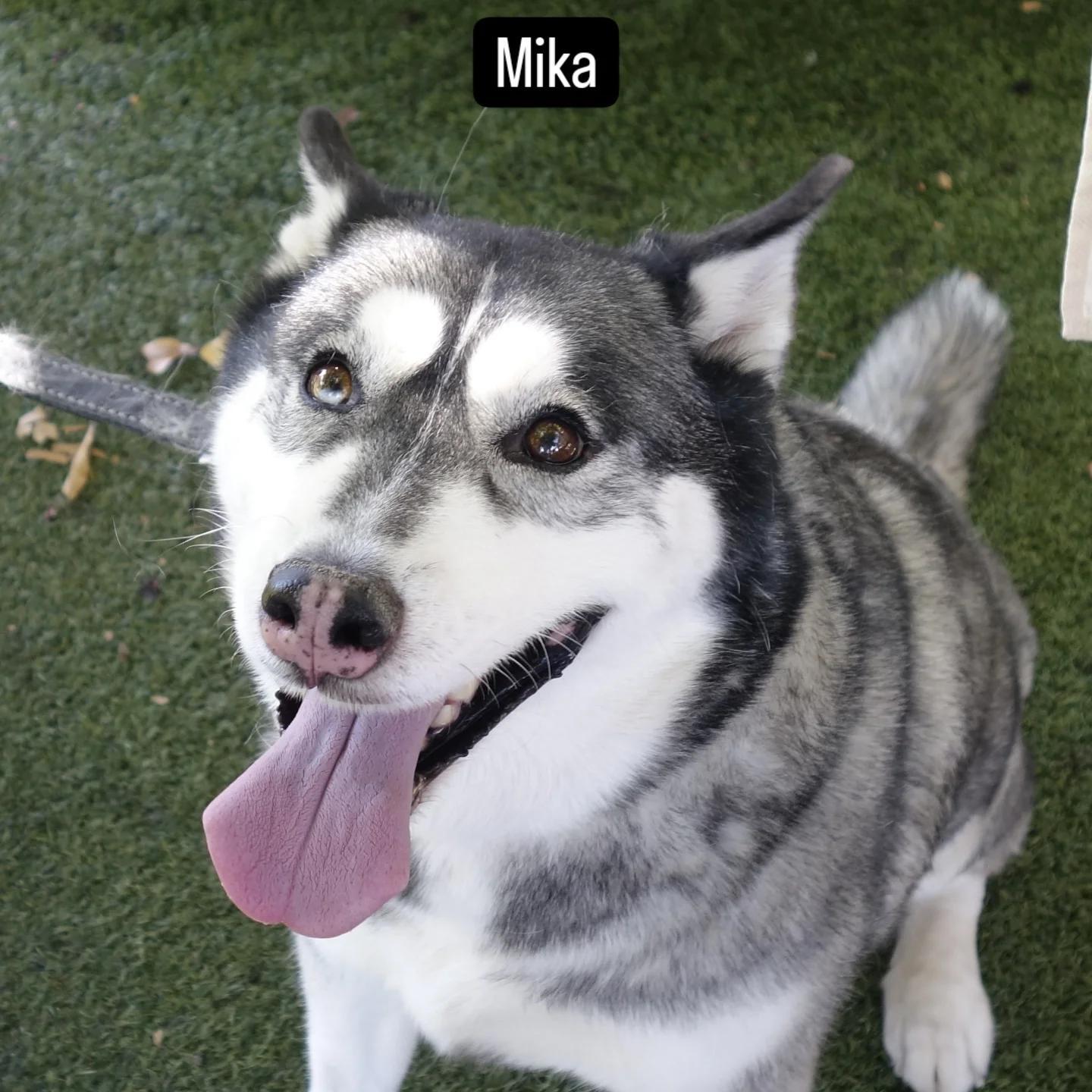 Mika