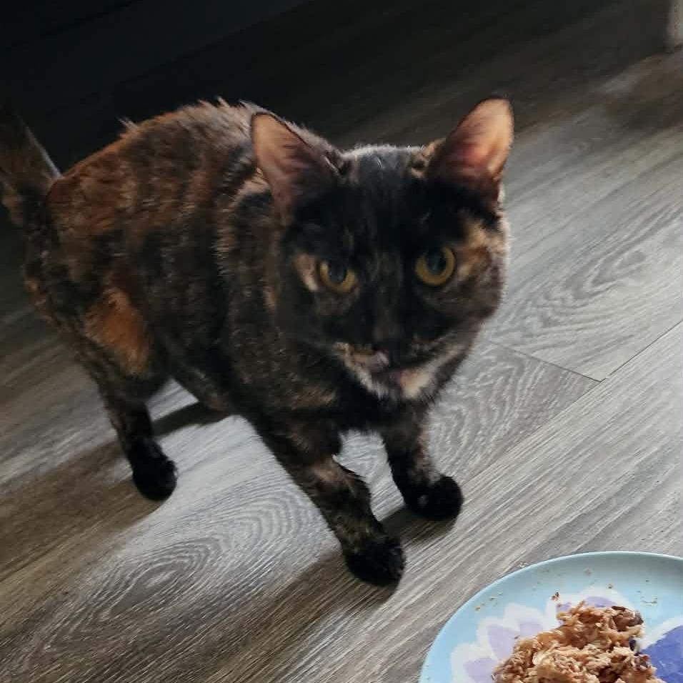 Penny Rickard photo 1