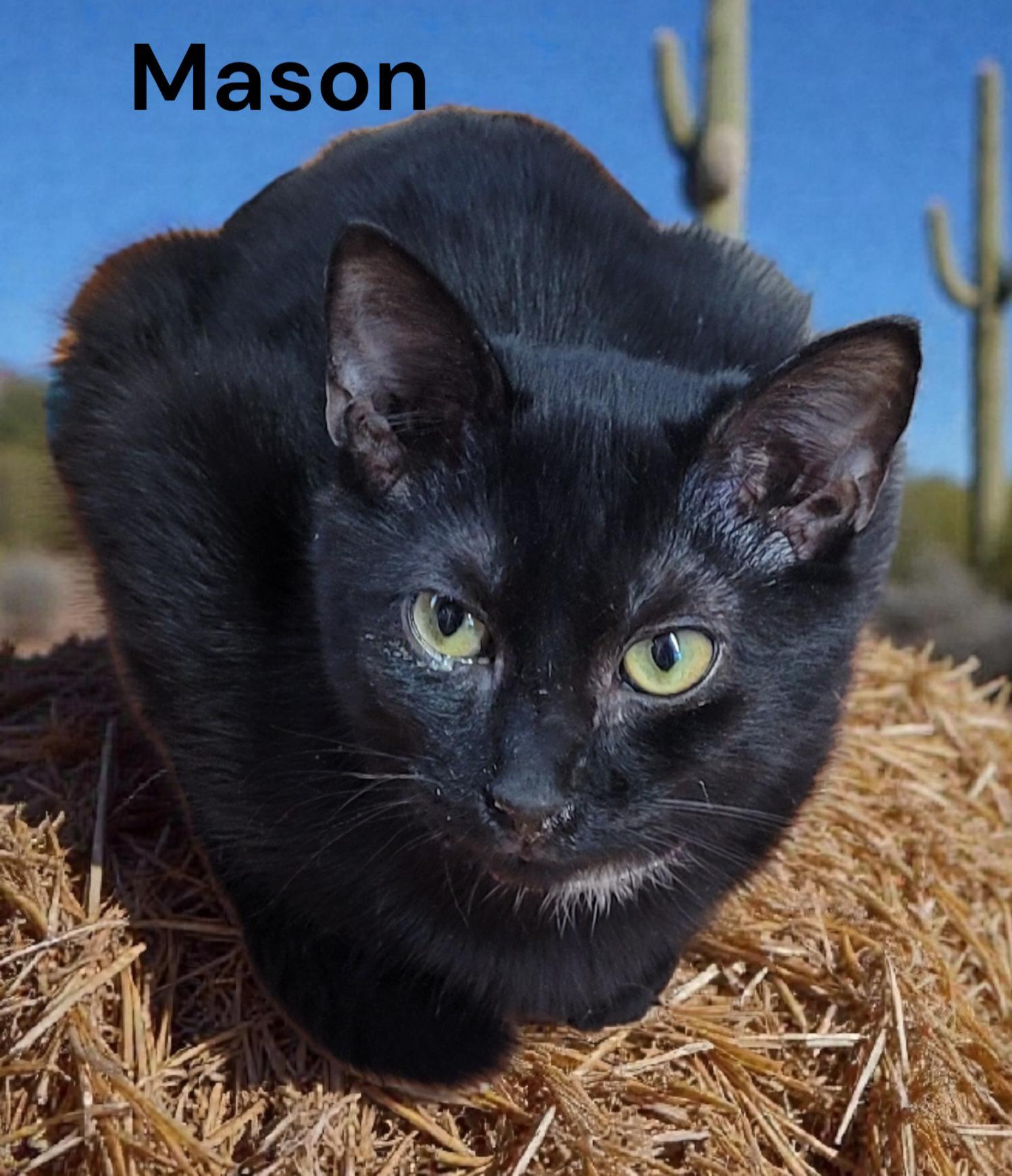 Mason