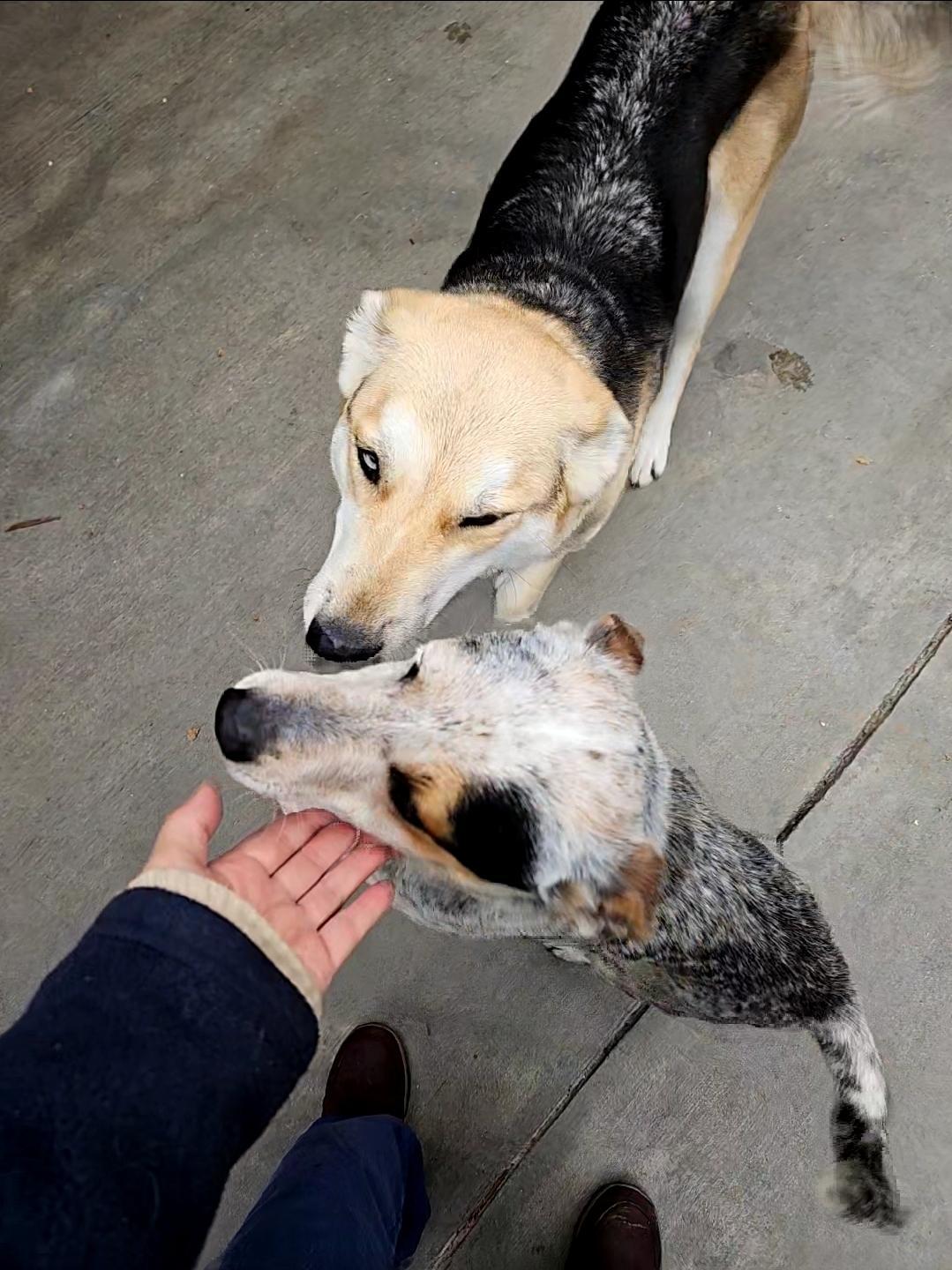 Luca Playing With Freckles