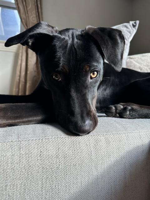 Bruno Mars Is Here!!