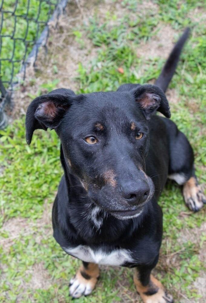 Clyde Updated Profile