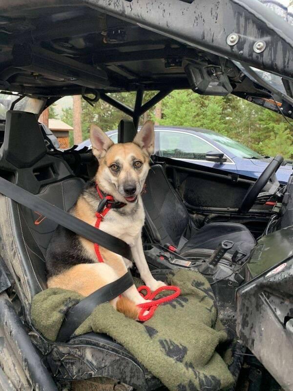 Merci Courtesy Listing