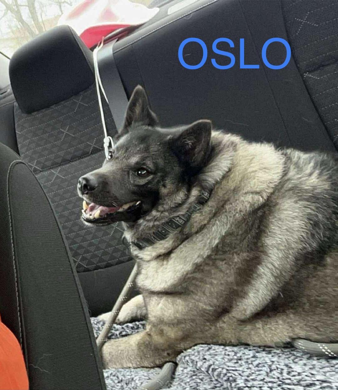 Oslo