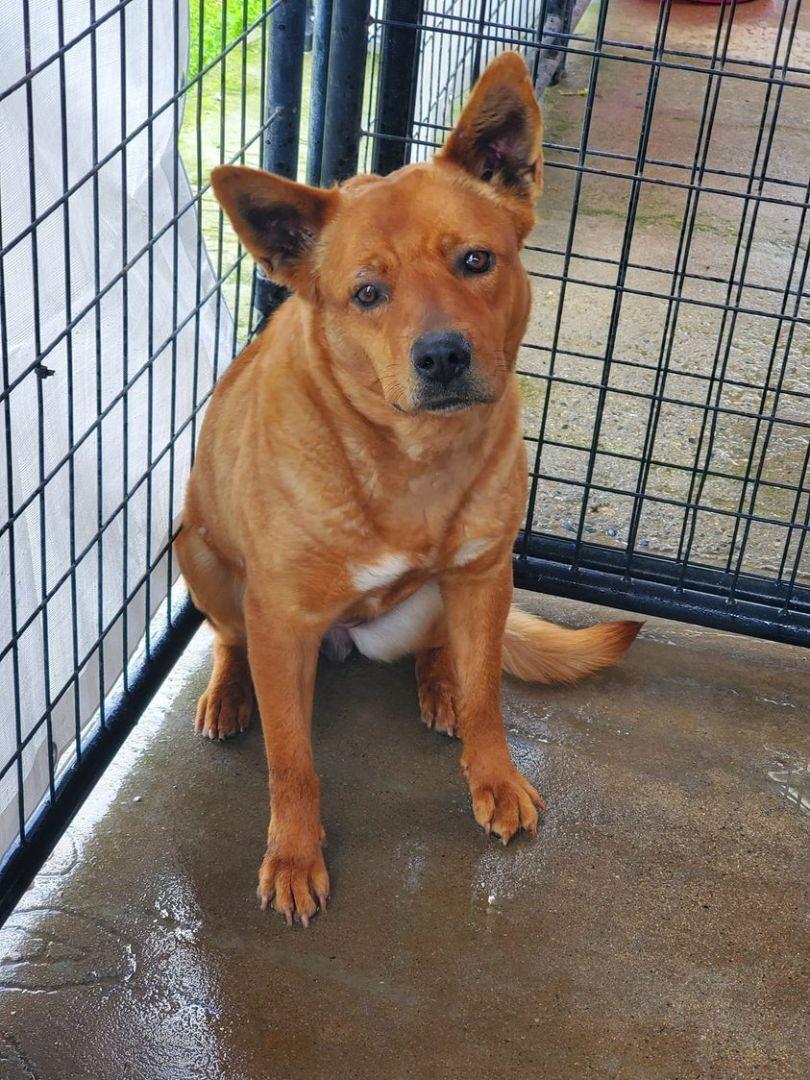 Cj Calamity Jane photo 1