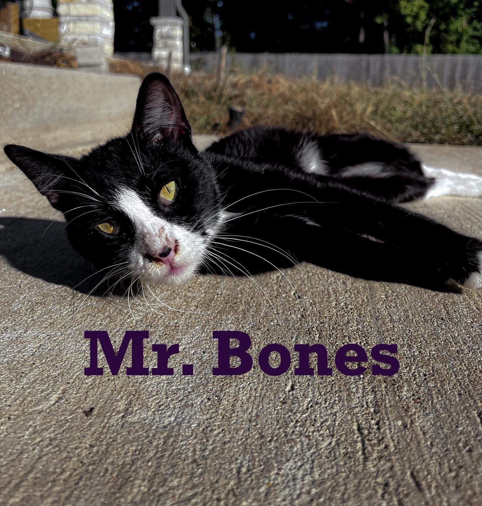 Mr. Bones