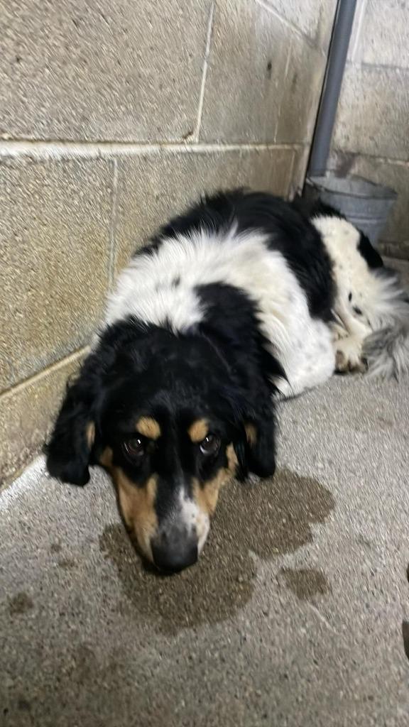 James Harlan photo 1