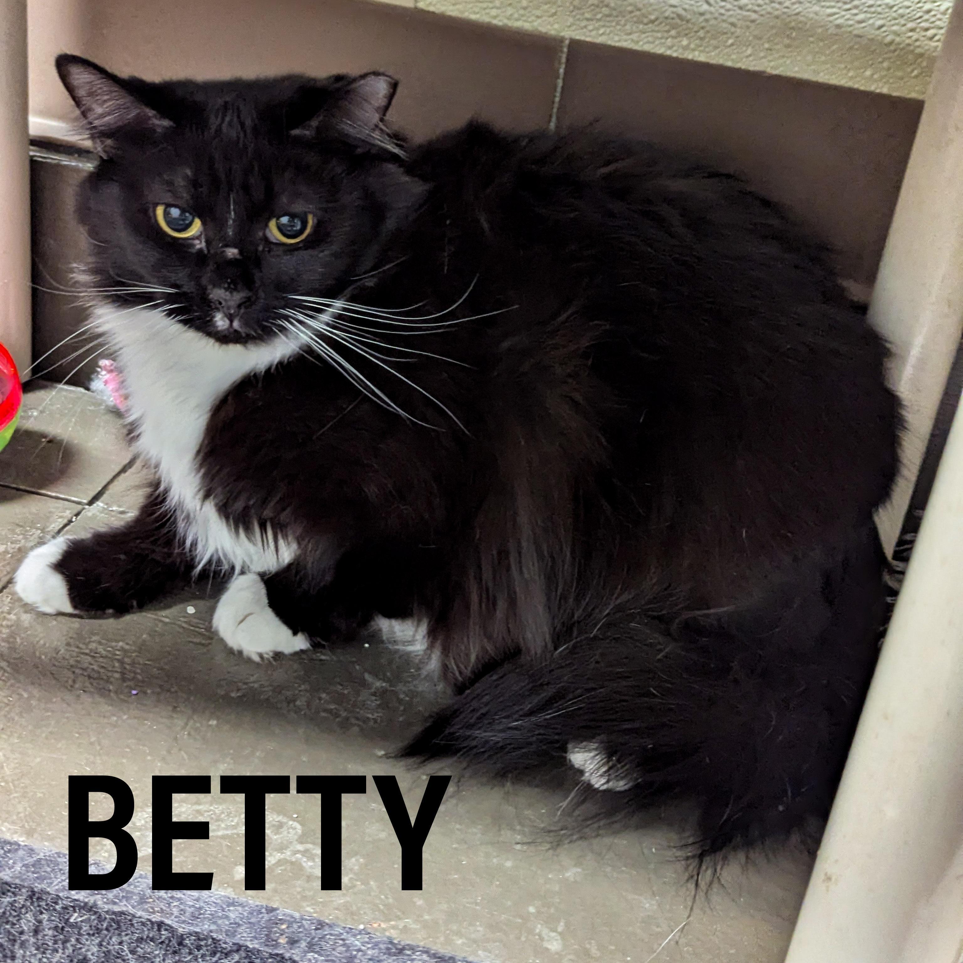 Betty photo 1