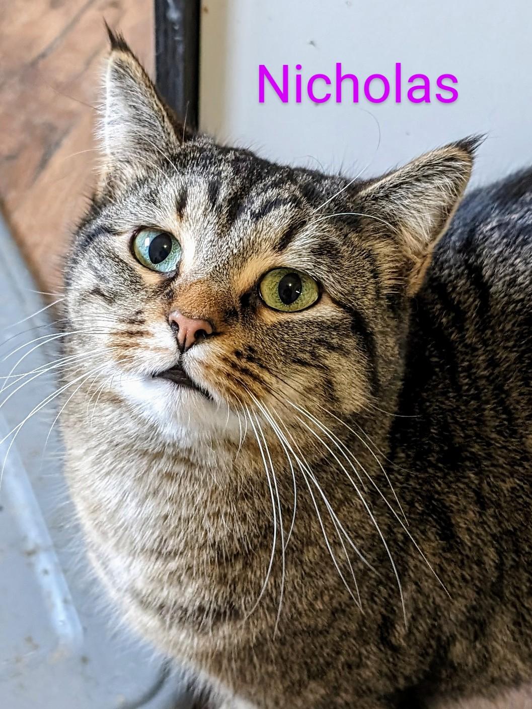 Nicholas