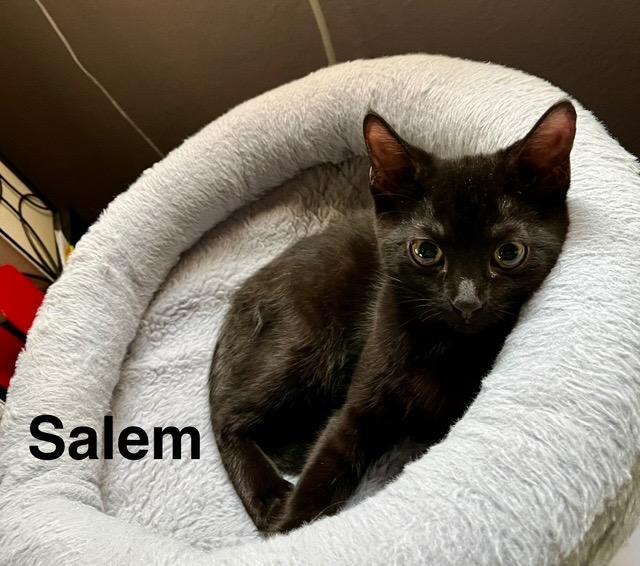 Salem