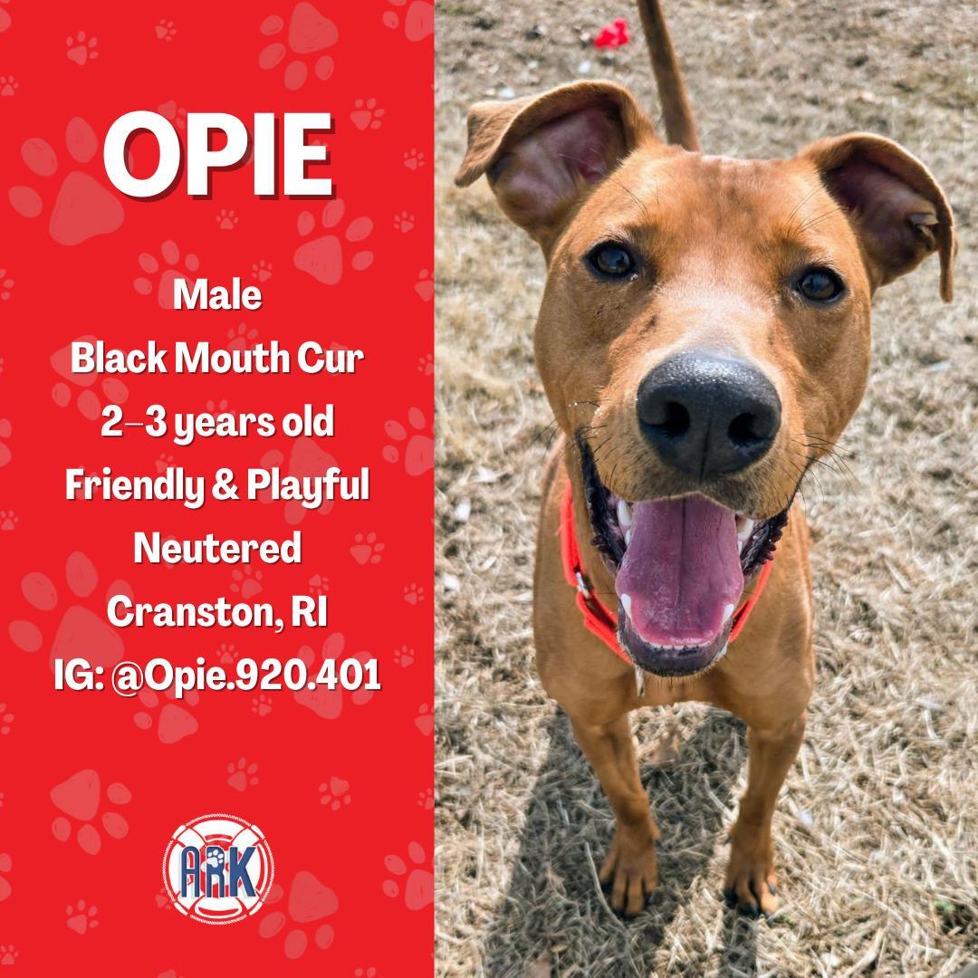 Opie