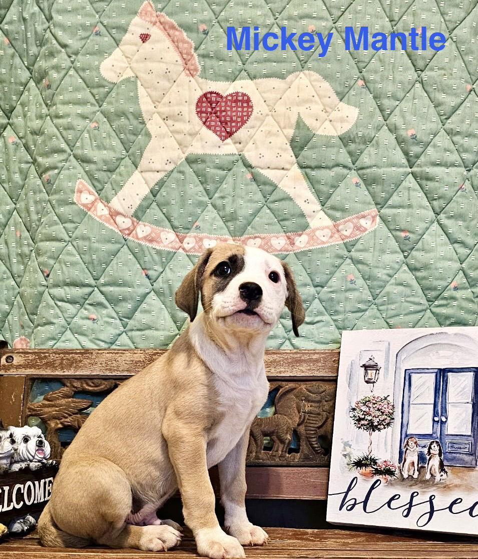 Mickey Mantle Lonestar