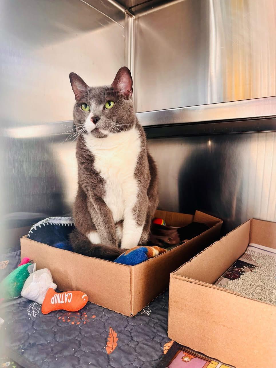 Katniss Appointment Only