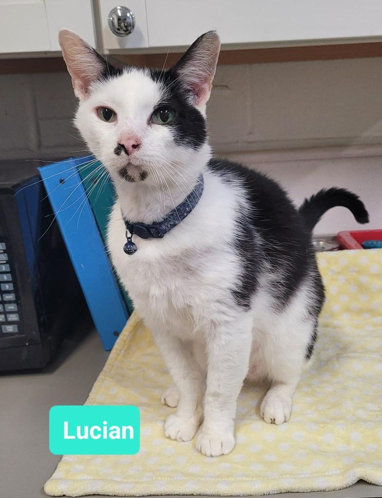 Lucian
