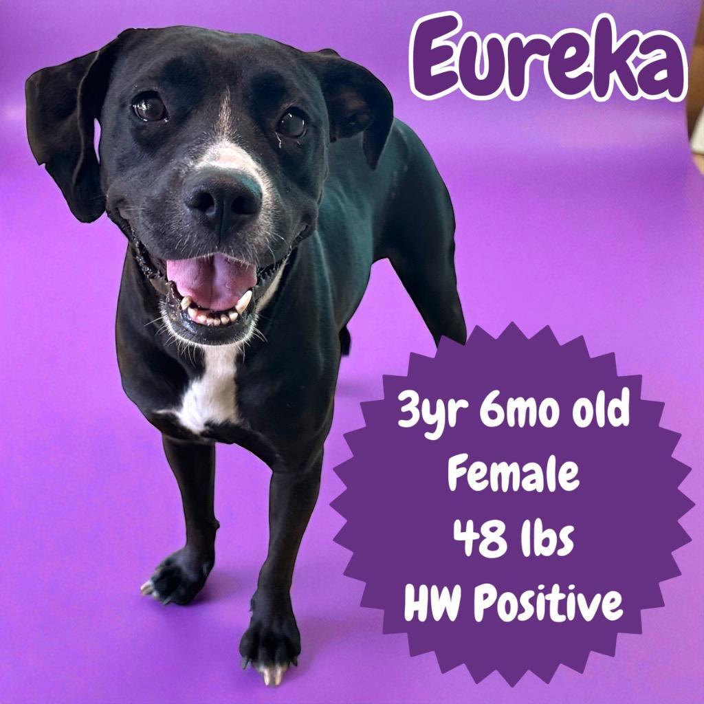 Eureka