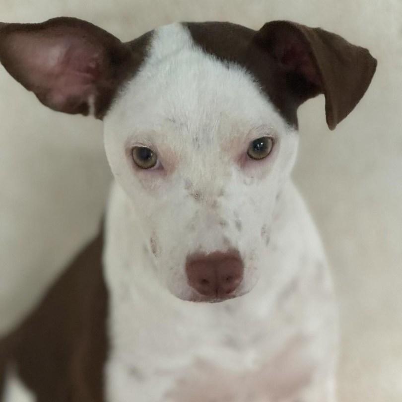 Zaarina "your Girl."