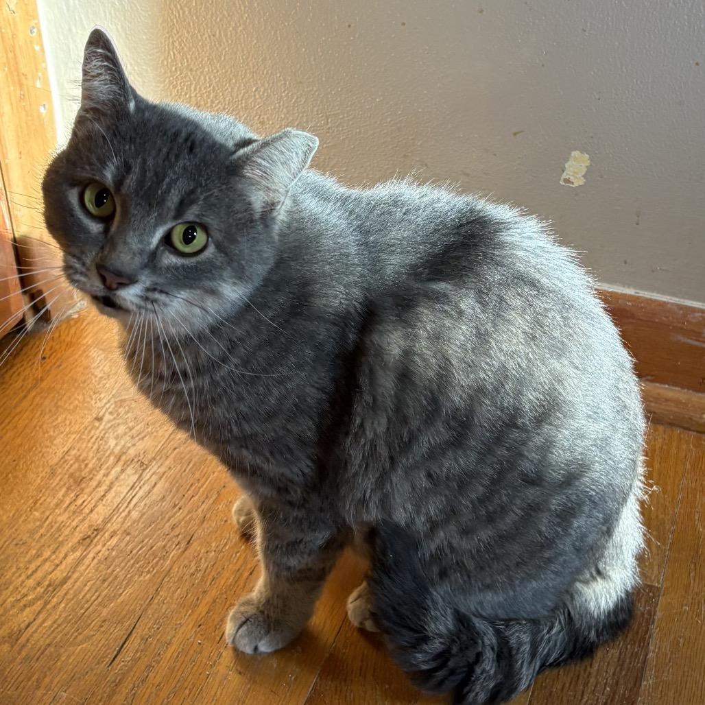 Triscuit Worley photo 1