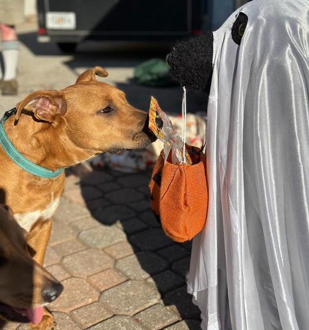 Samantha Aka "sammy"