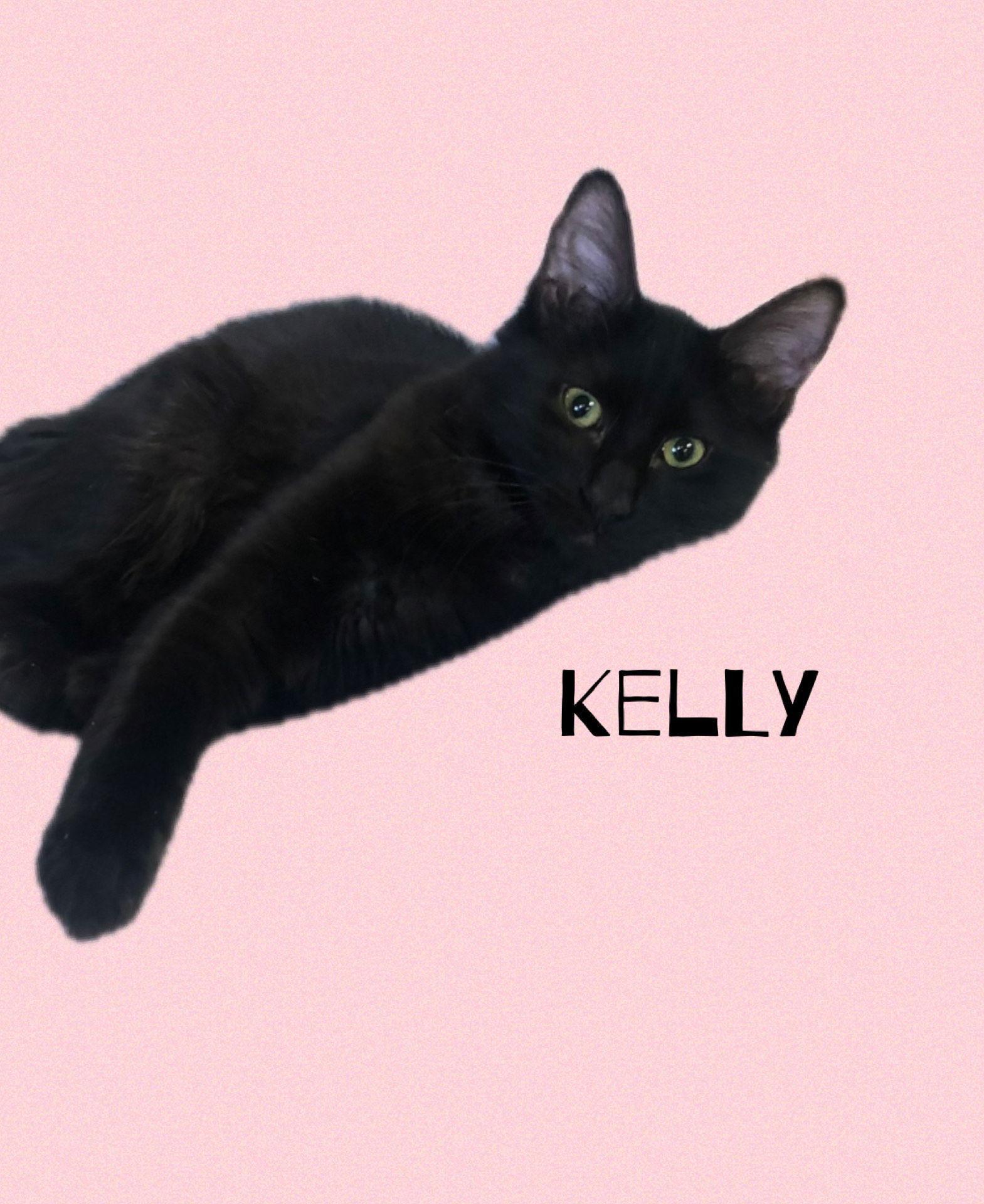 Kelly