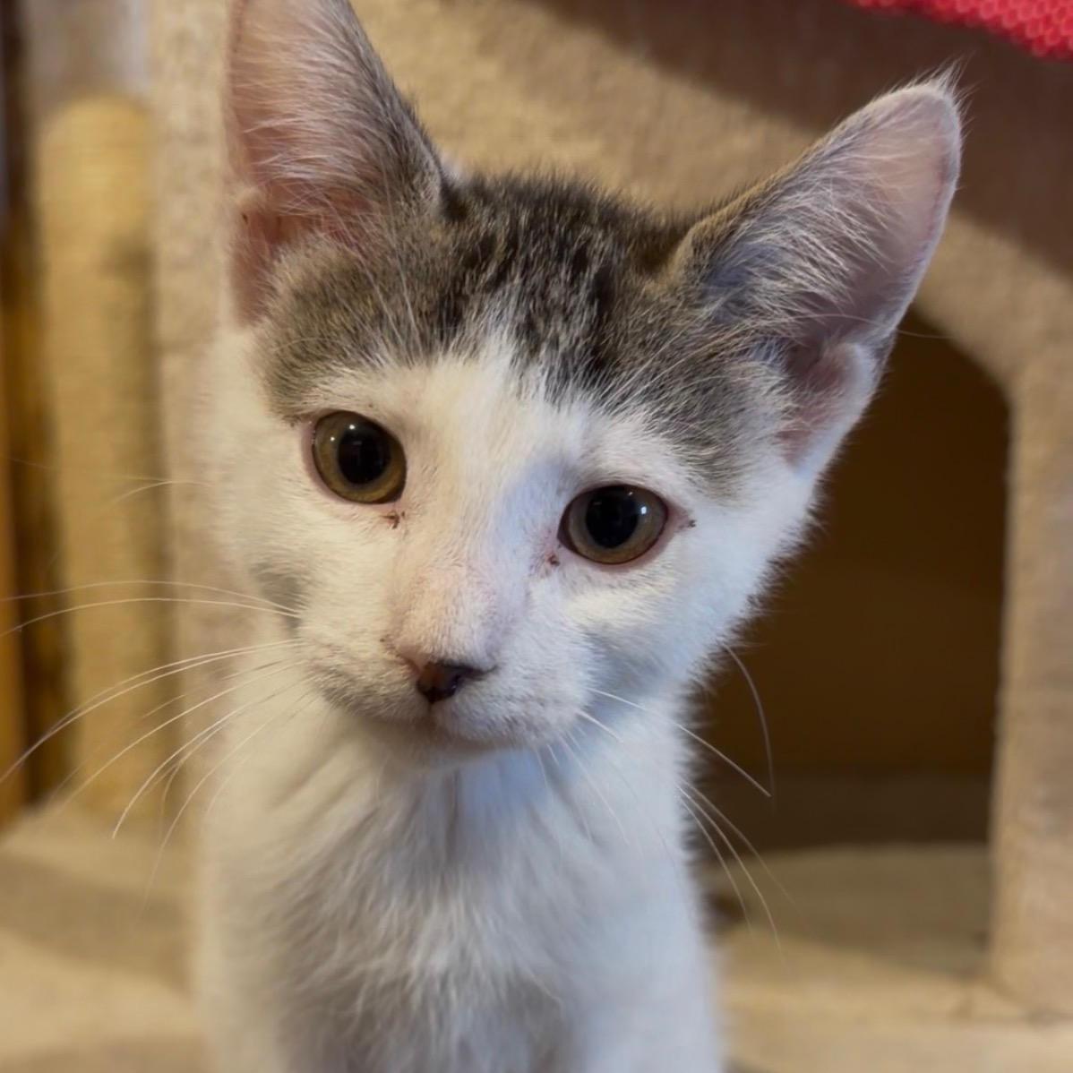 Twainbonded With Winslow