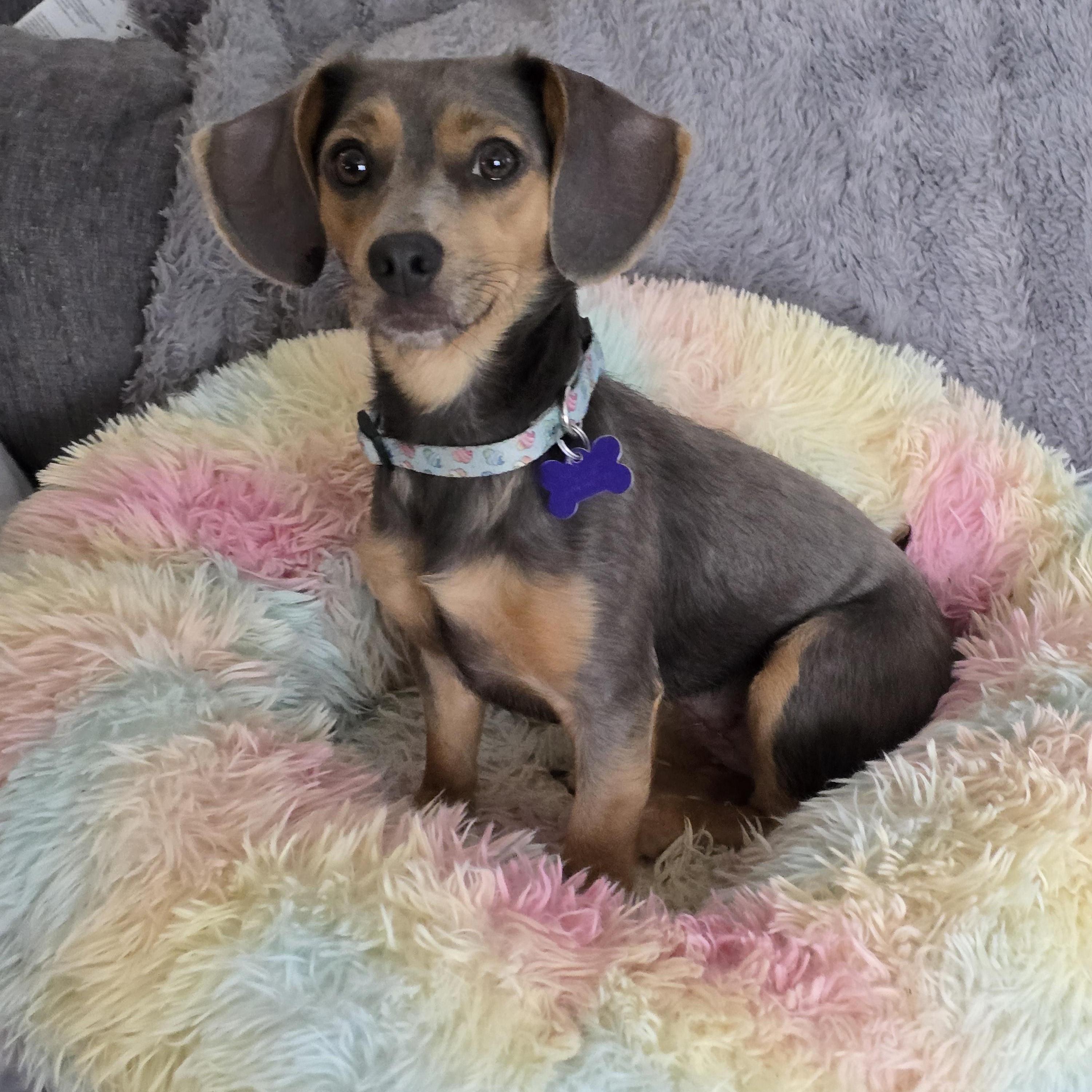 Karaon Medical Hold photo 1