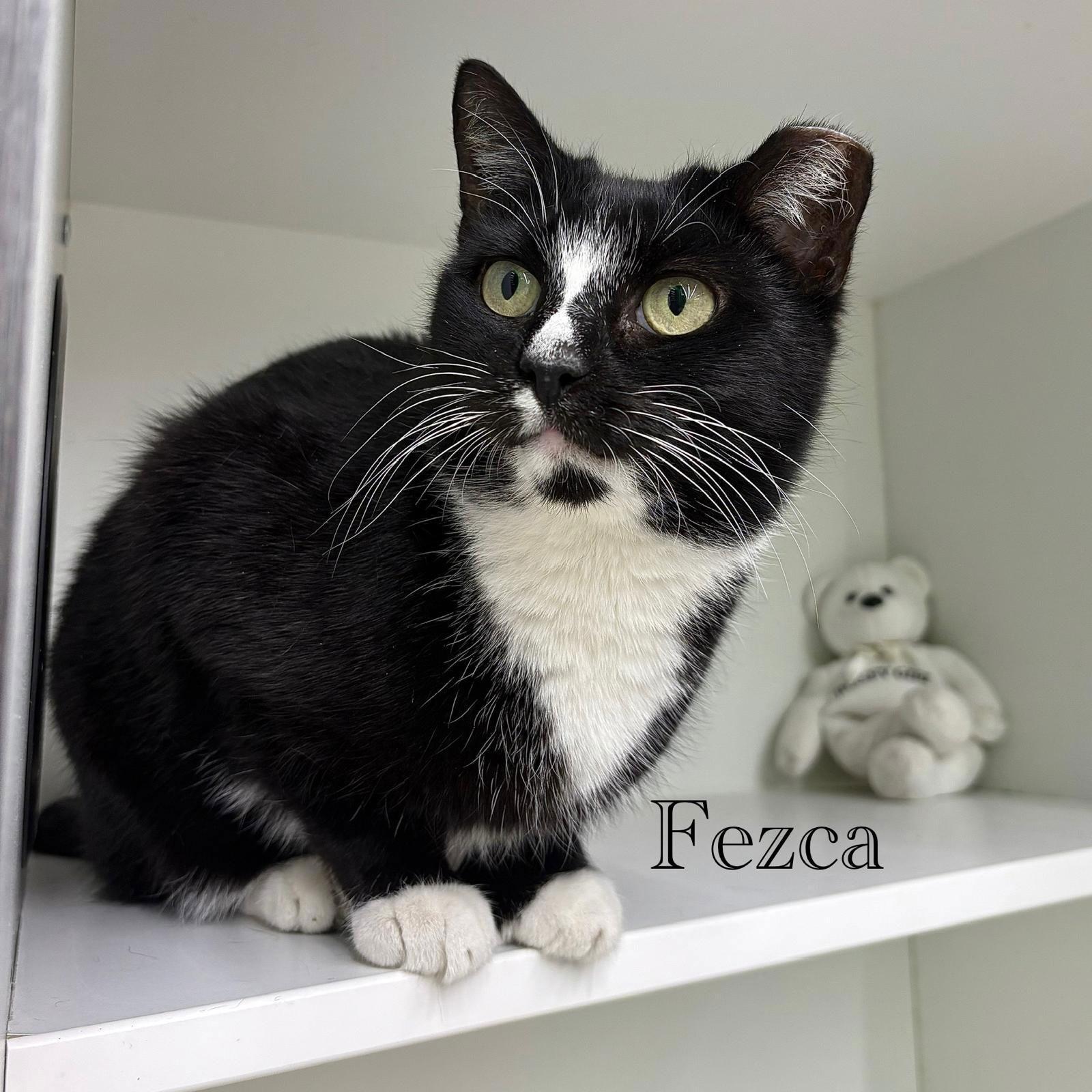 Fezca