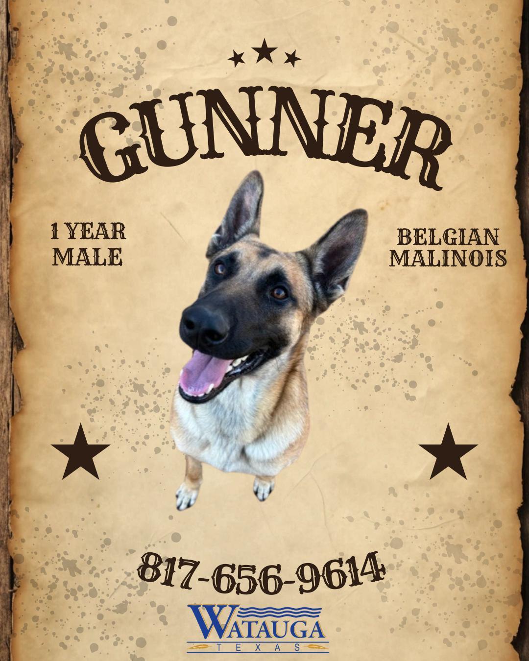 Gunner