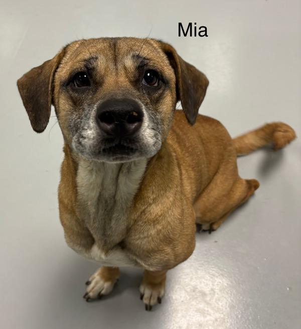 Mia
