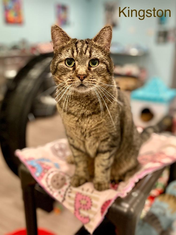 Kingston