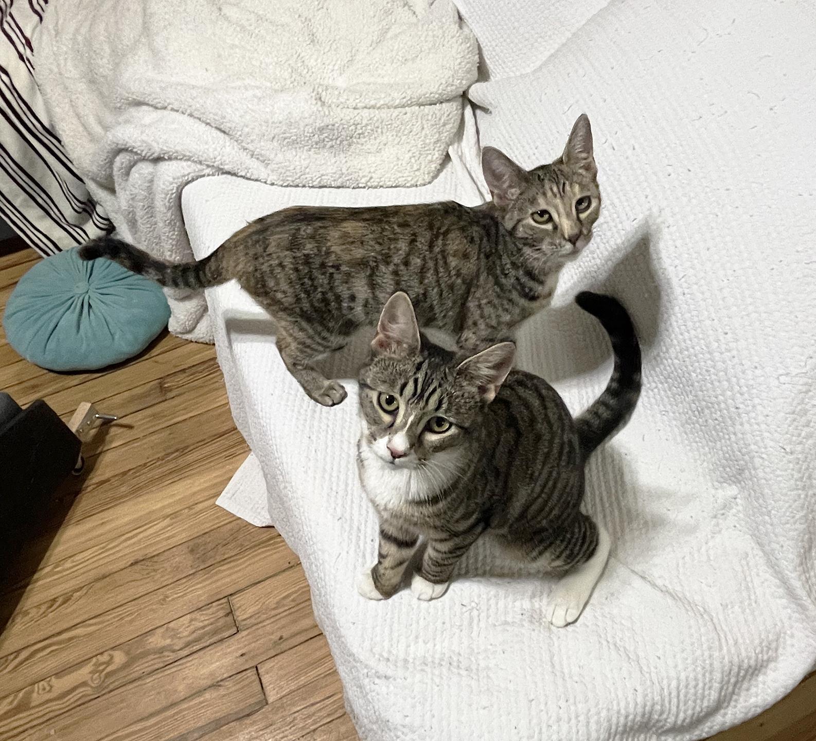 Mercury And Jupiter Millick