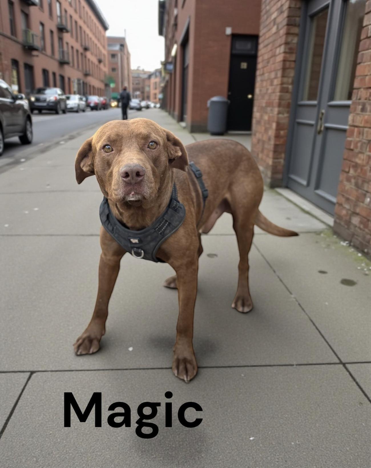 Magic