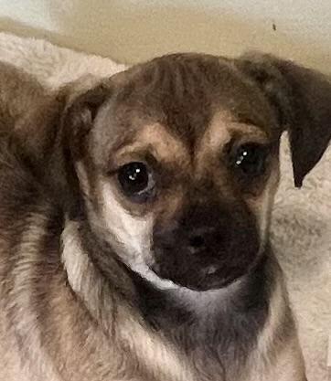 Lollipop! Sweet And Playful!