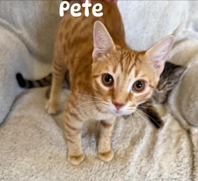 Pete