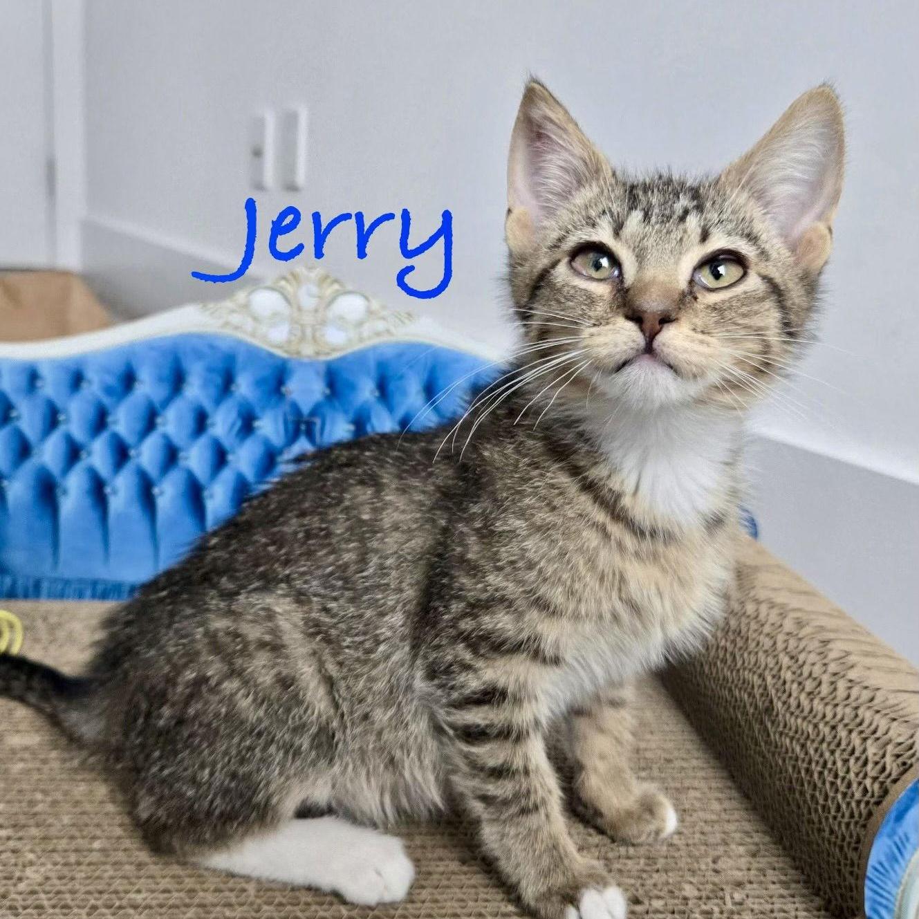 Jerry
