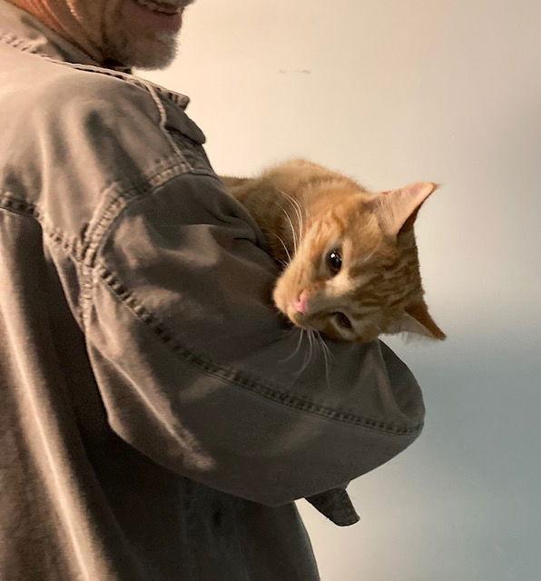 Pumpkin Bonded With Hal