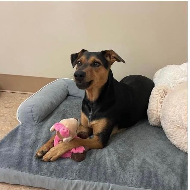 Little Man & Princess