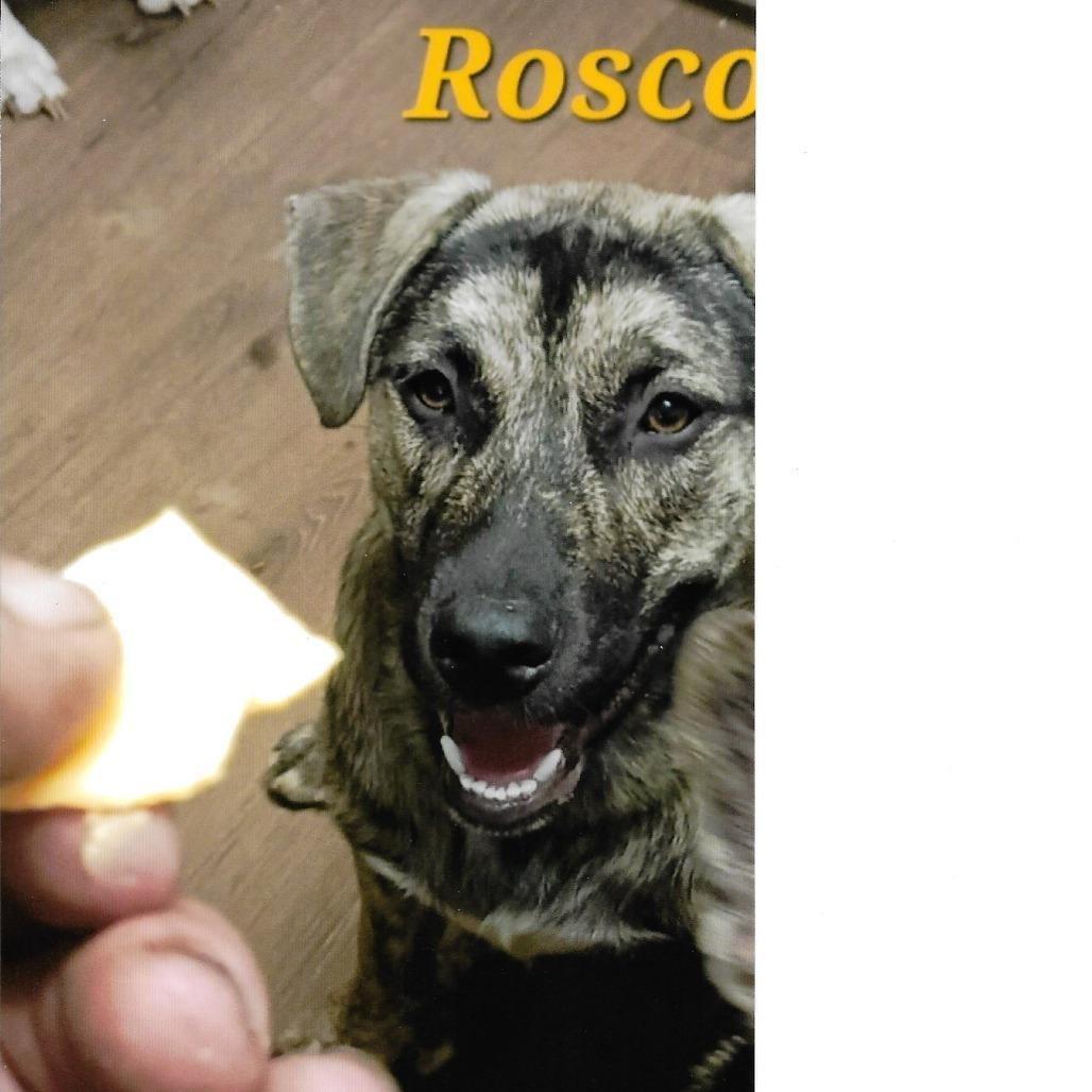 Roscoe