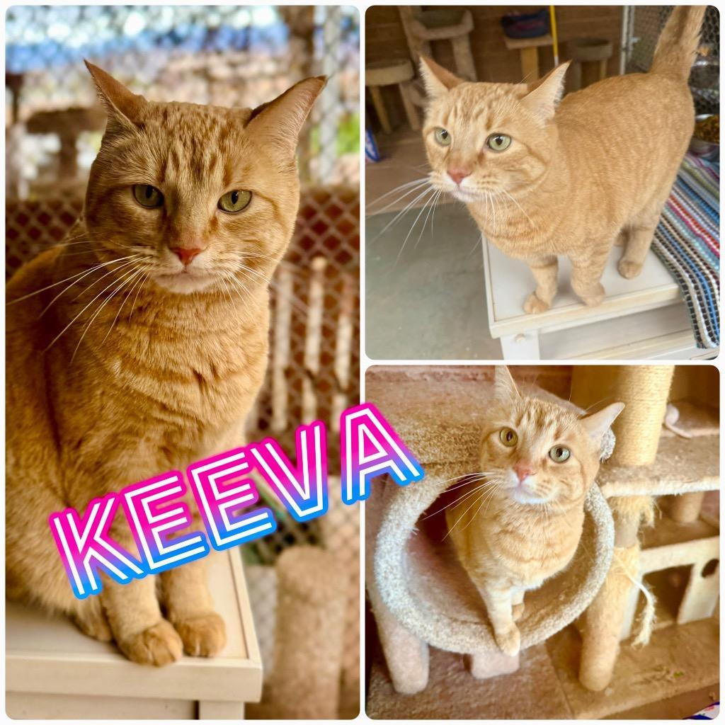 Keeva