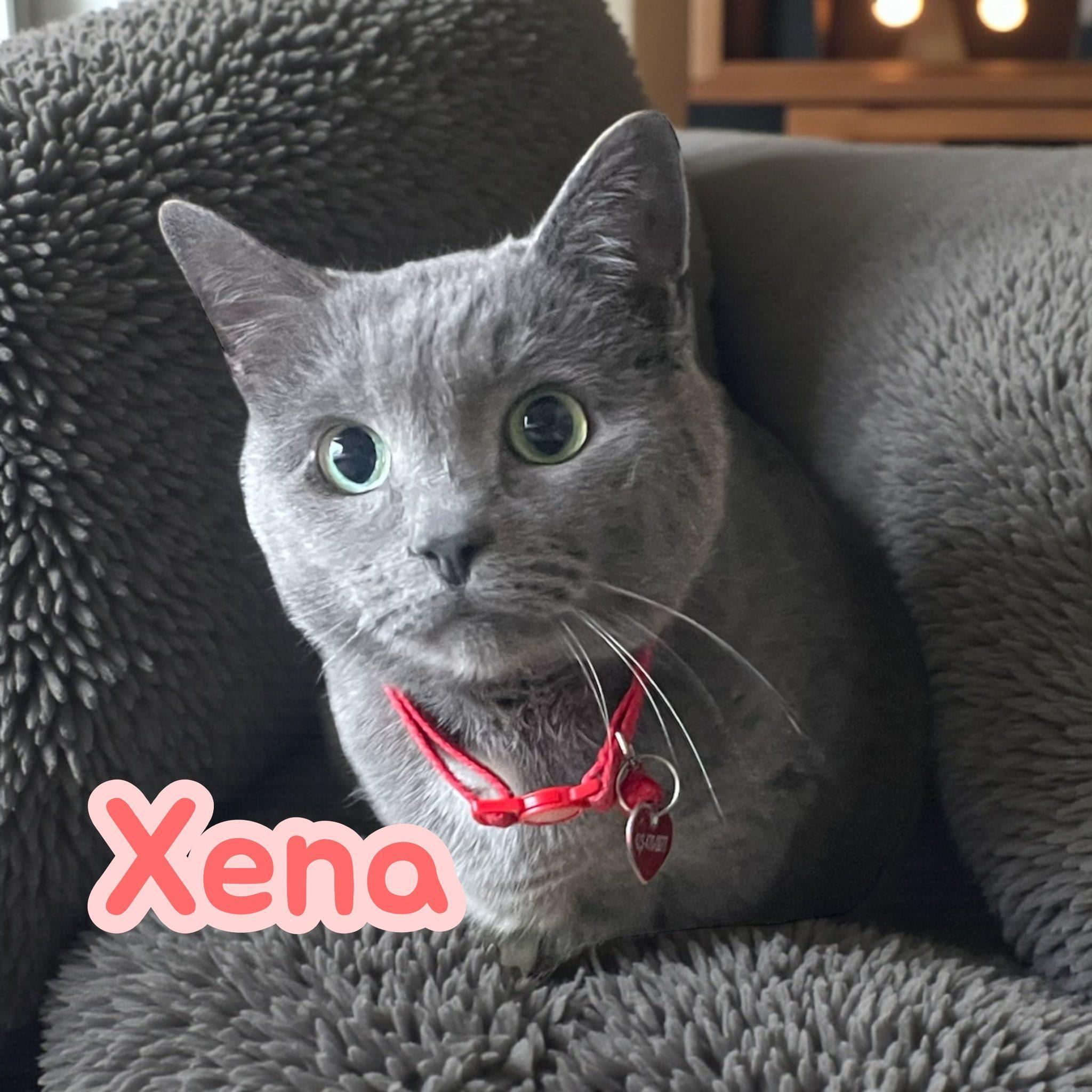 Xena