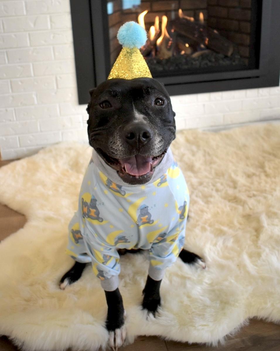 Lady Nesbit Sweetington