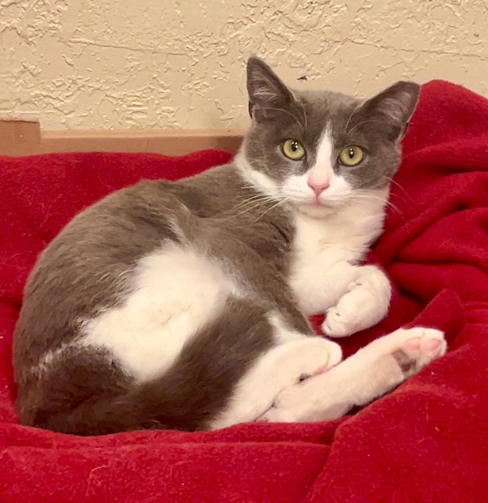 Princess Sour Patch photo 1