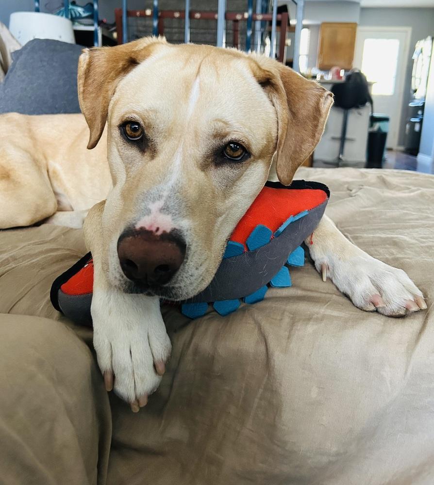 Yzerman Slim Pickens