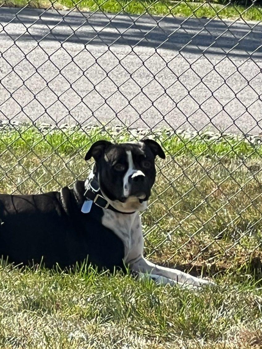 Zzzzz_nipsey~courtesy