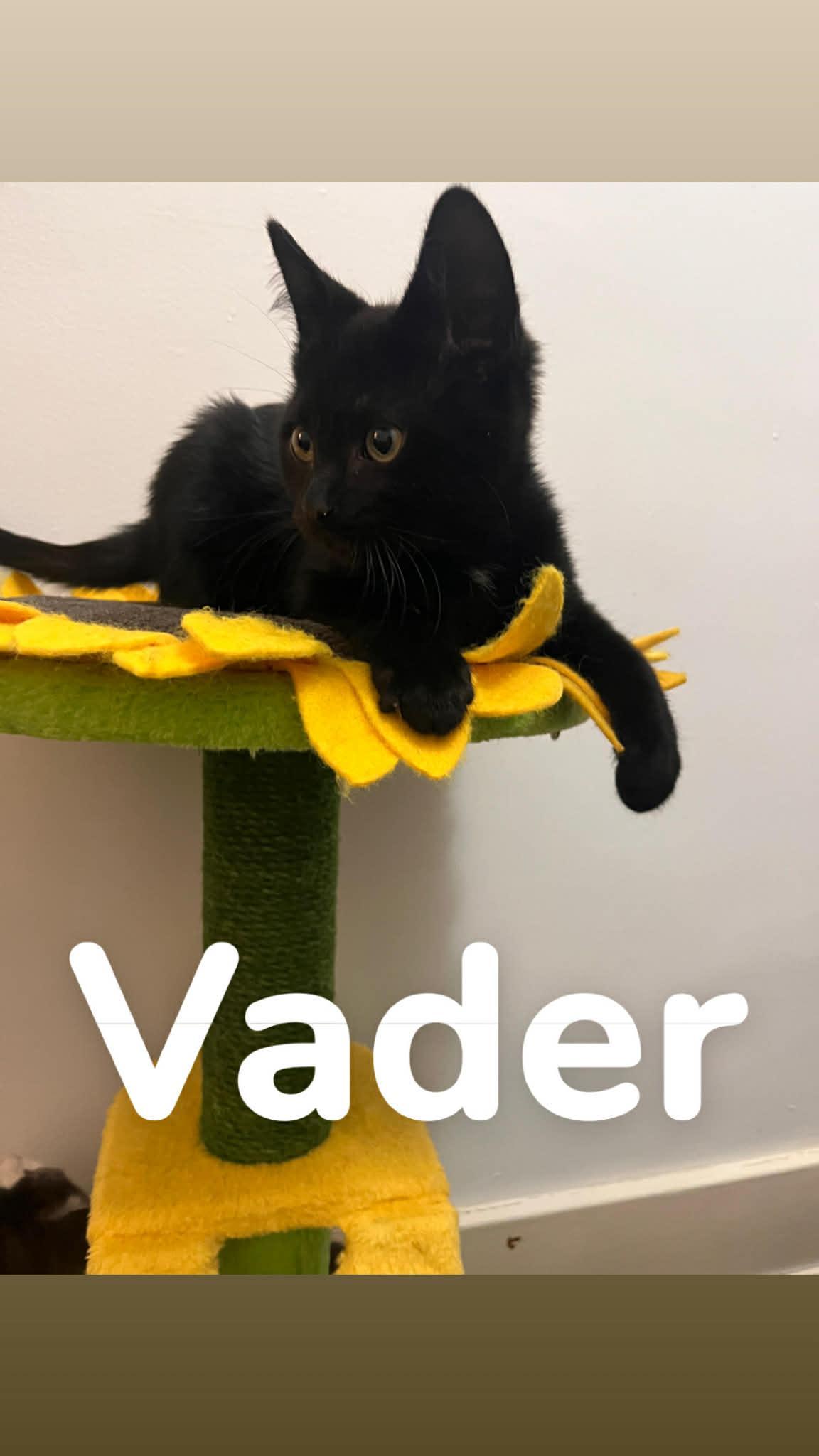 Vader