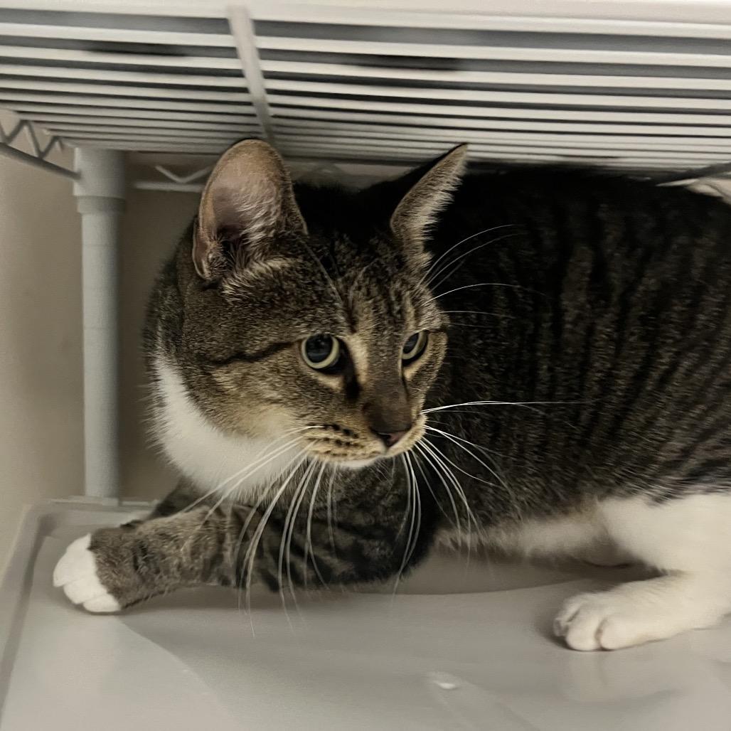 Lt. Gen. "chesty" Puller