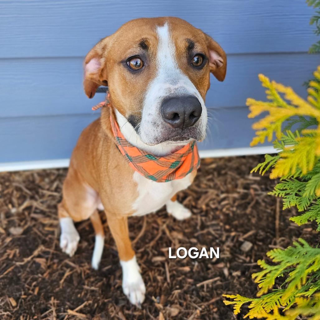 Logan