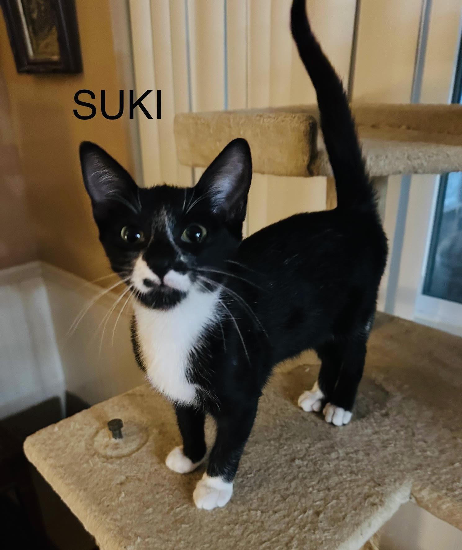 Suki