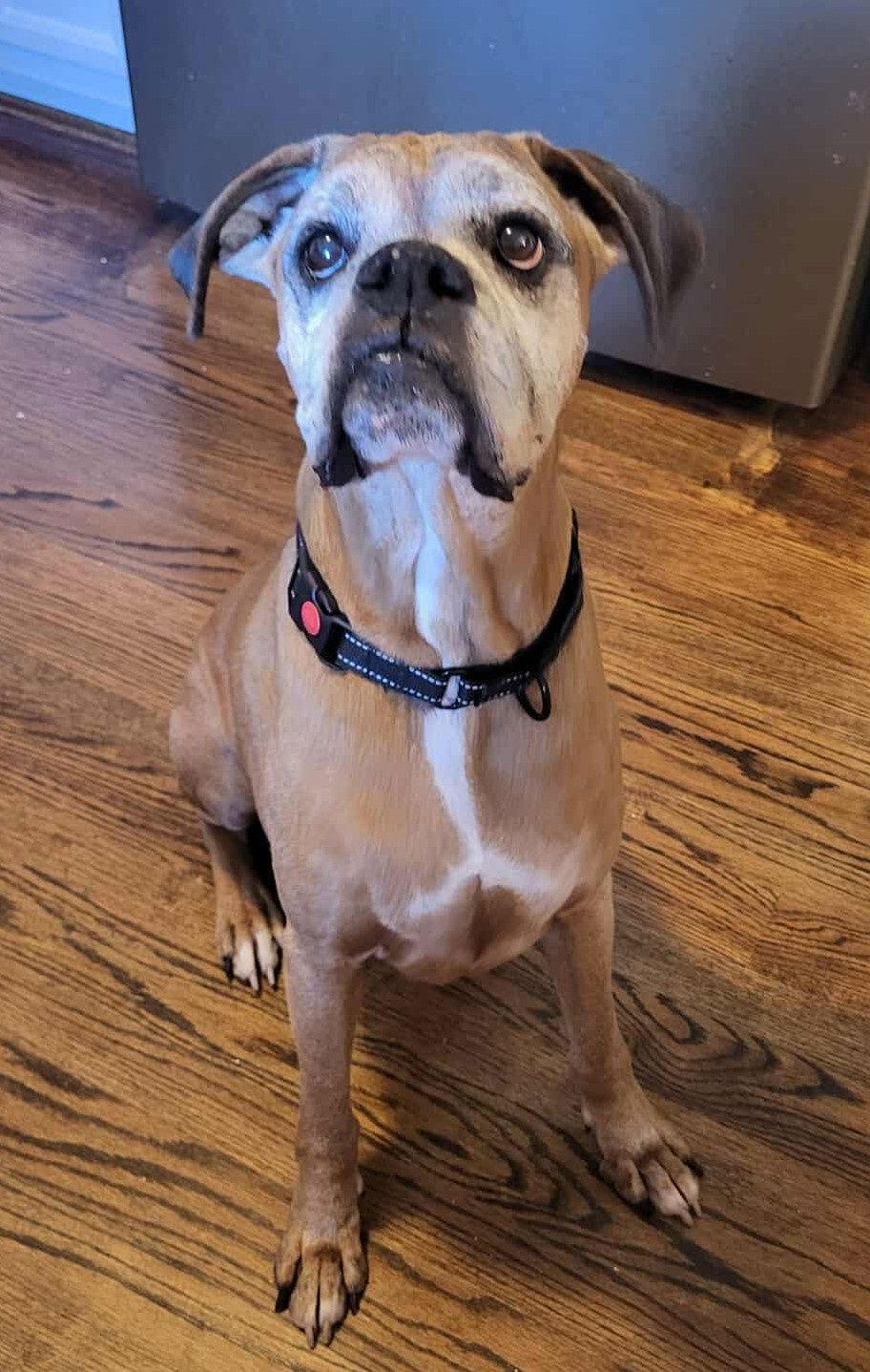 Edgar