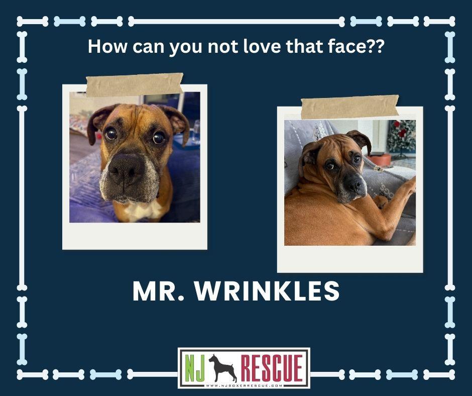 Mr Wrinkles