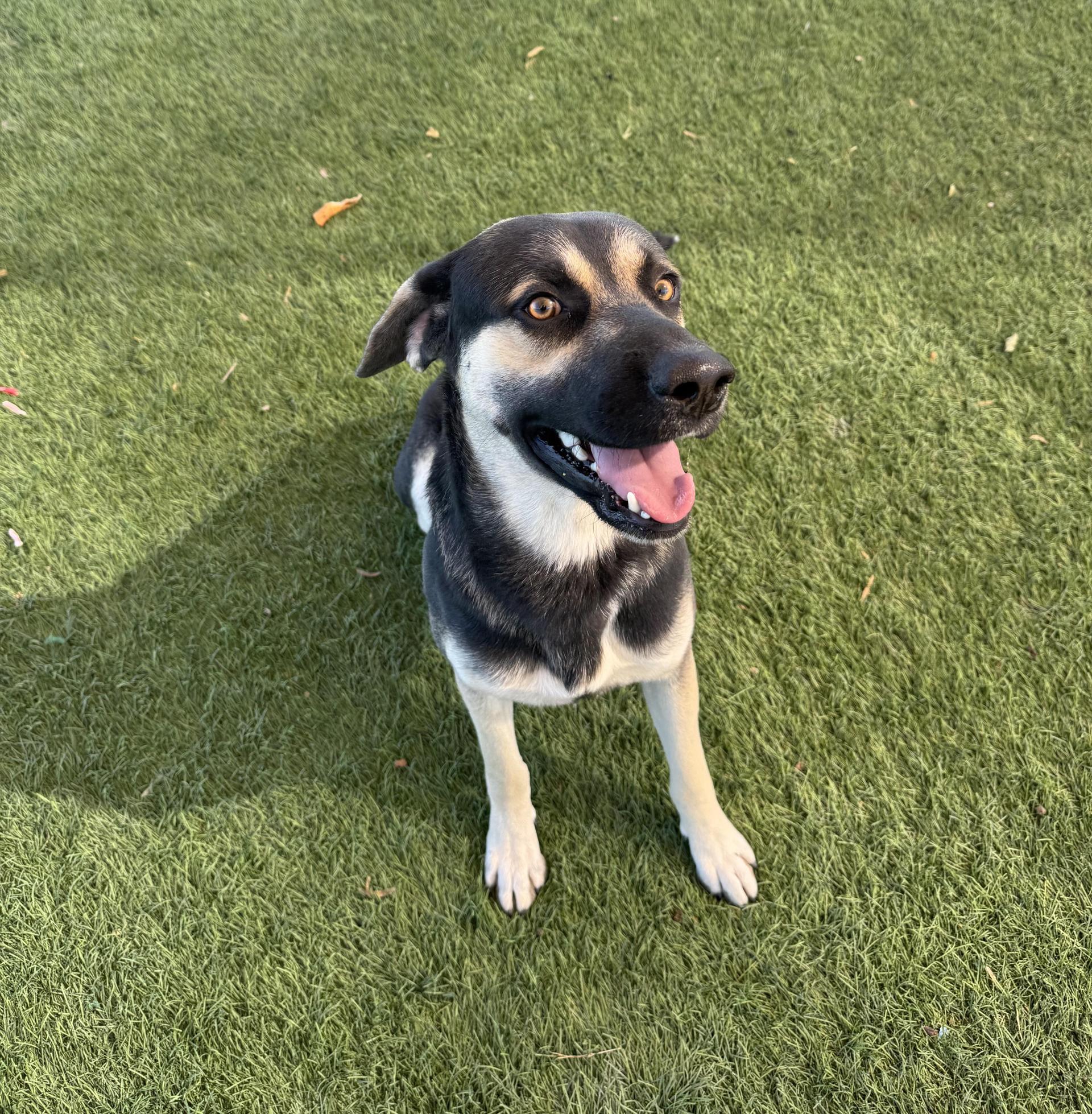 Max
